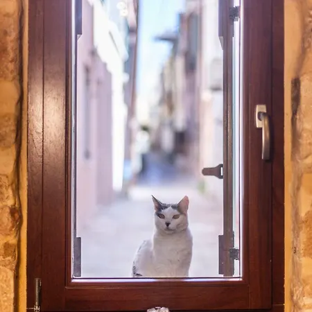 Athena's House Apartament