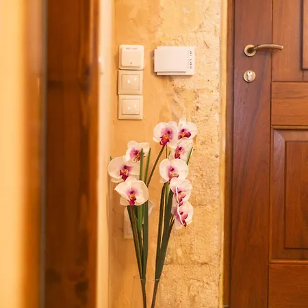 Apartament Athena's House *