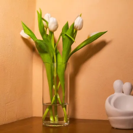 Athena's House Apartament