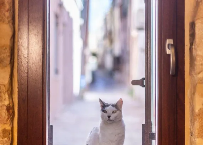 Athena's House Apartamento