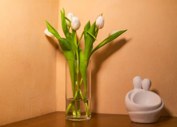 Athena's House Apartment